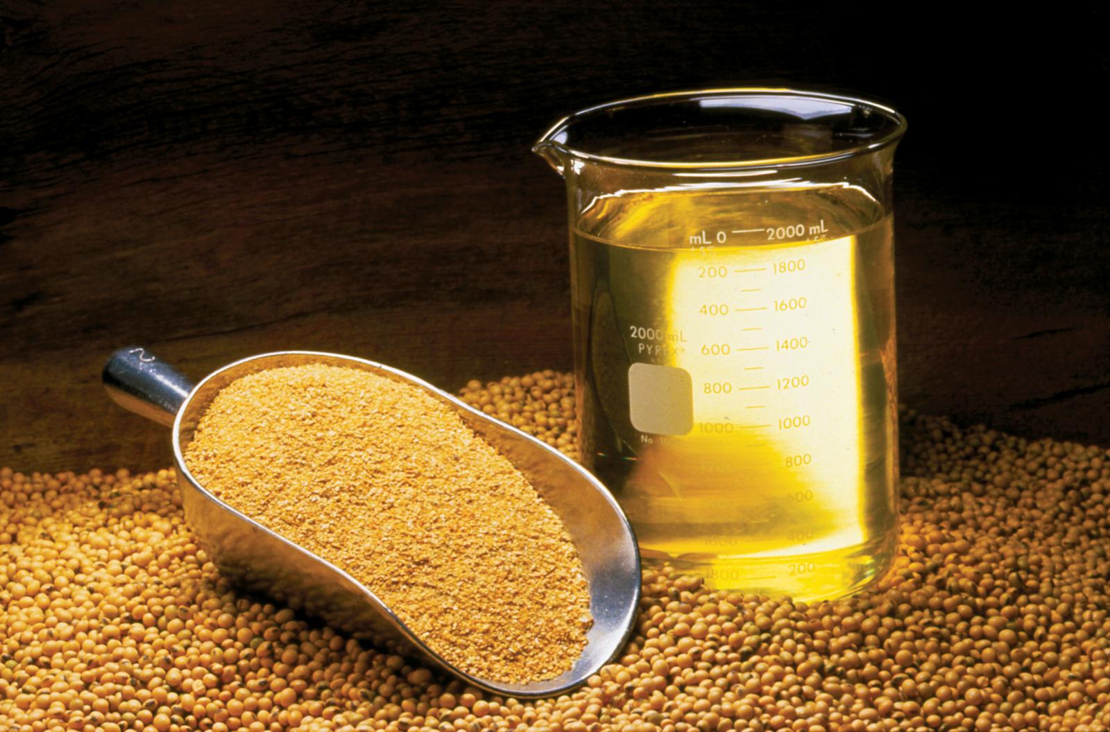 A distinctive use of purti soybean oil