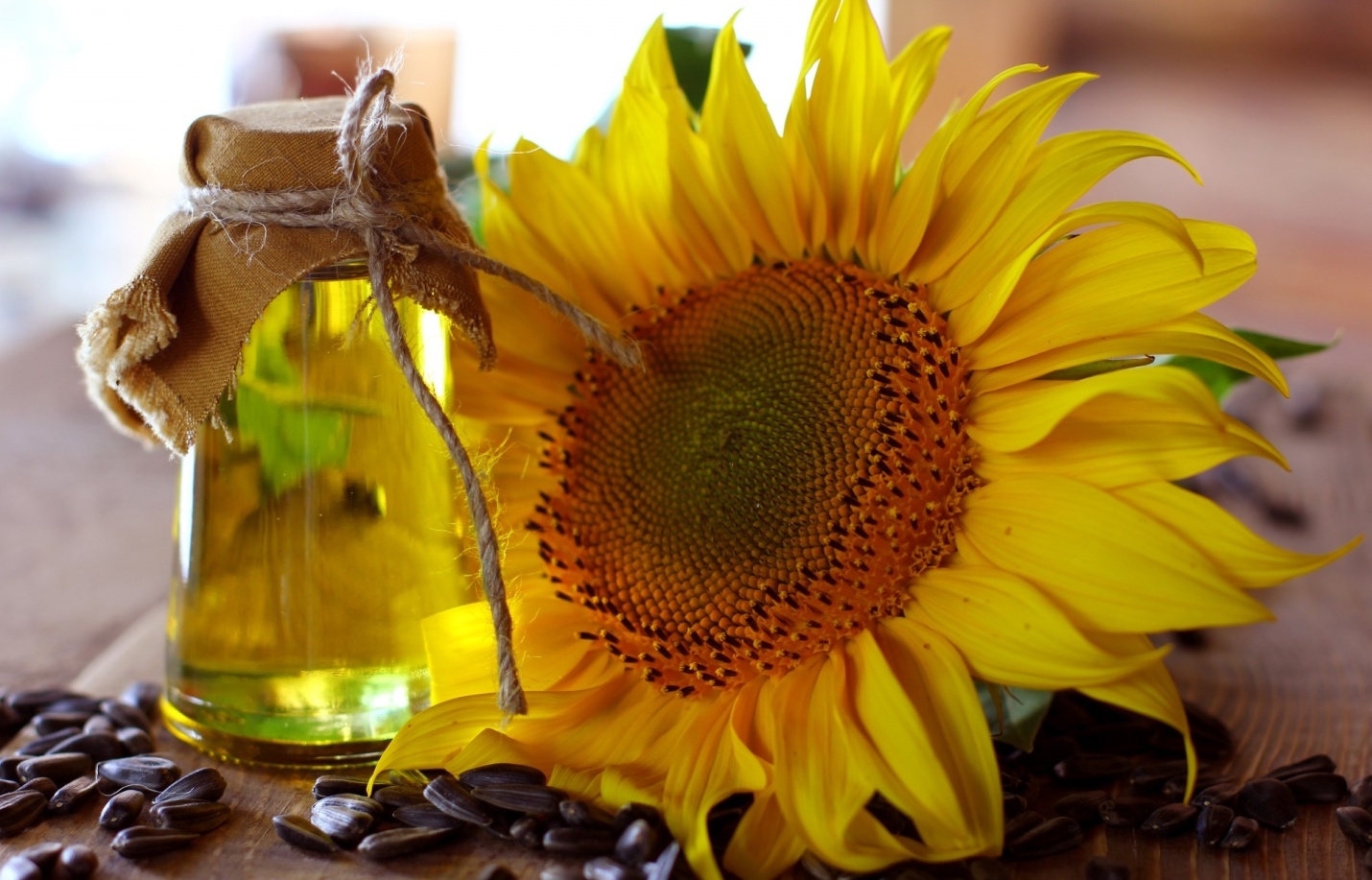 Edible oils: appealing our taste buds