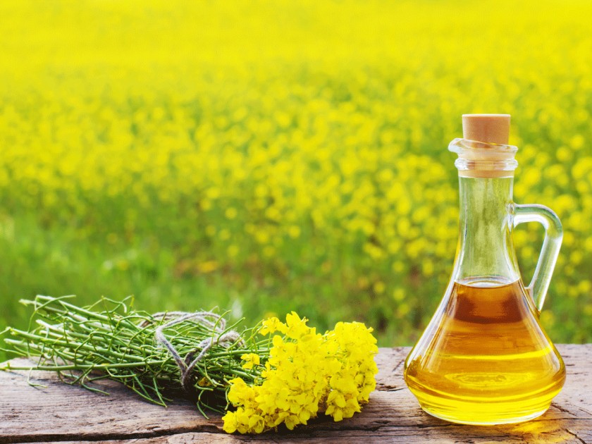 Health benefits of mustard oil