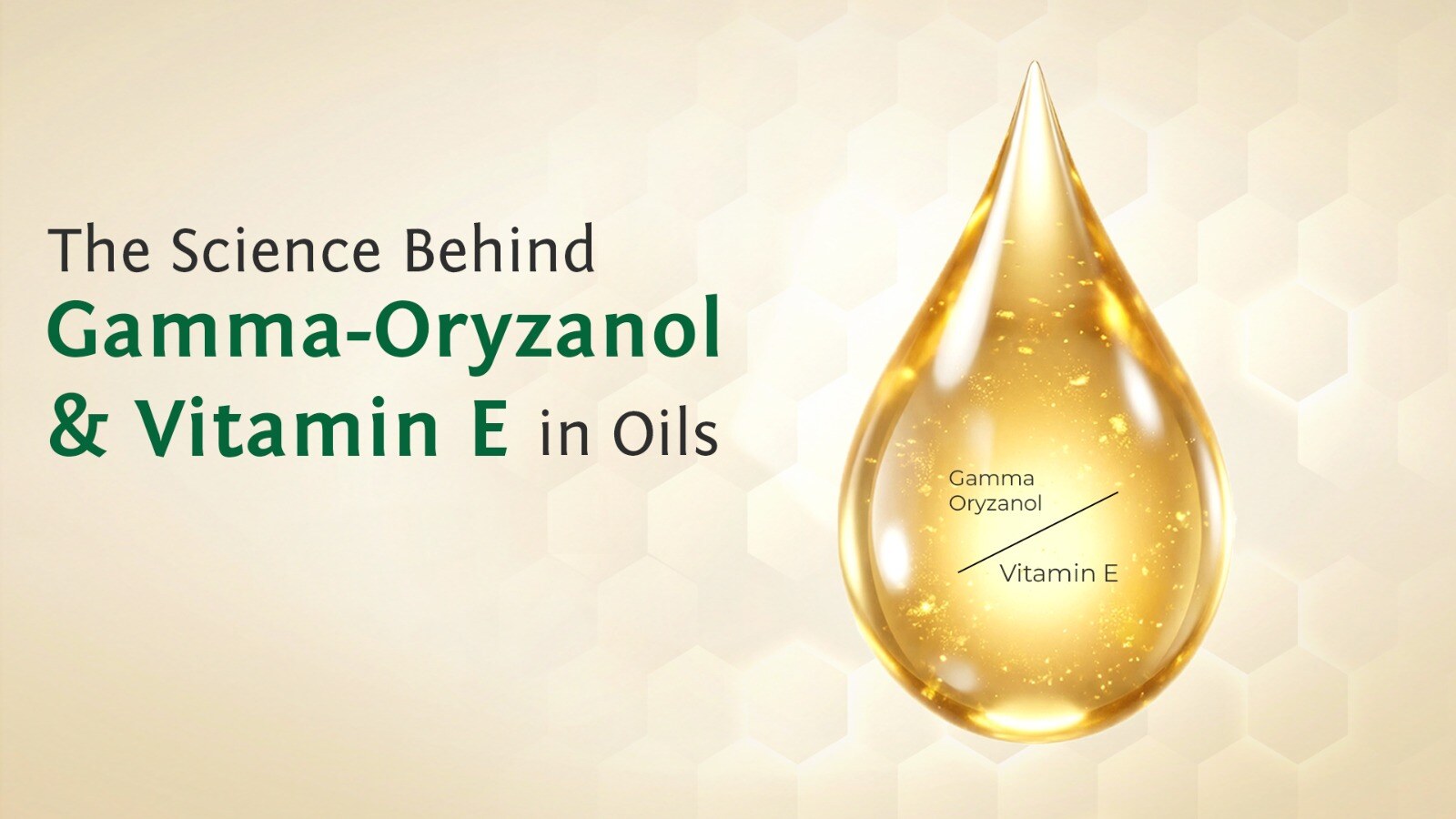 The science behind gamma-oryzanol & vitamin e in oils
